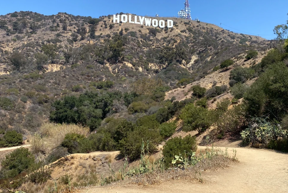 Escape the Cityscape: Unforgettable Road Trips from Los Angeles