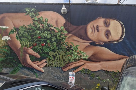 Tour image 5